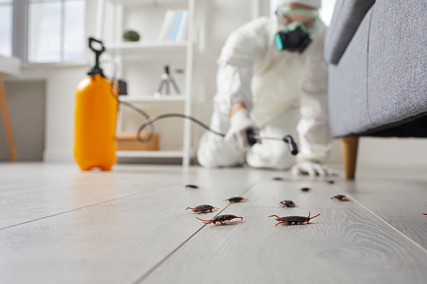 Post-Treatment Bed Bug Interceptor Monitoring in Waldwick
